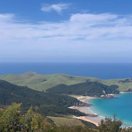 Green Turtle Cottage Pukenui Екстериор снимка