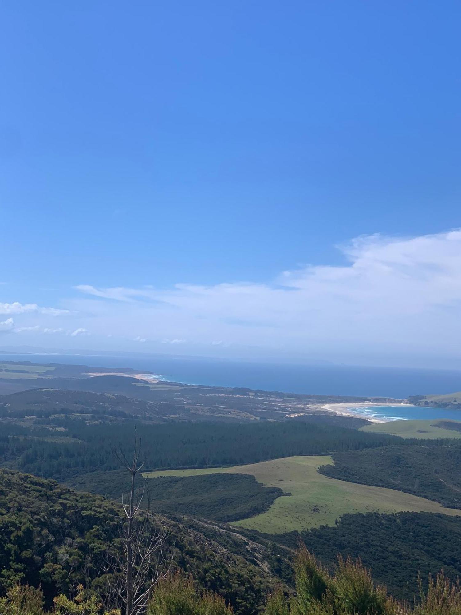 Green Turtle Cottage Pukenui Екстериор снимка