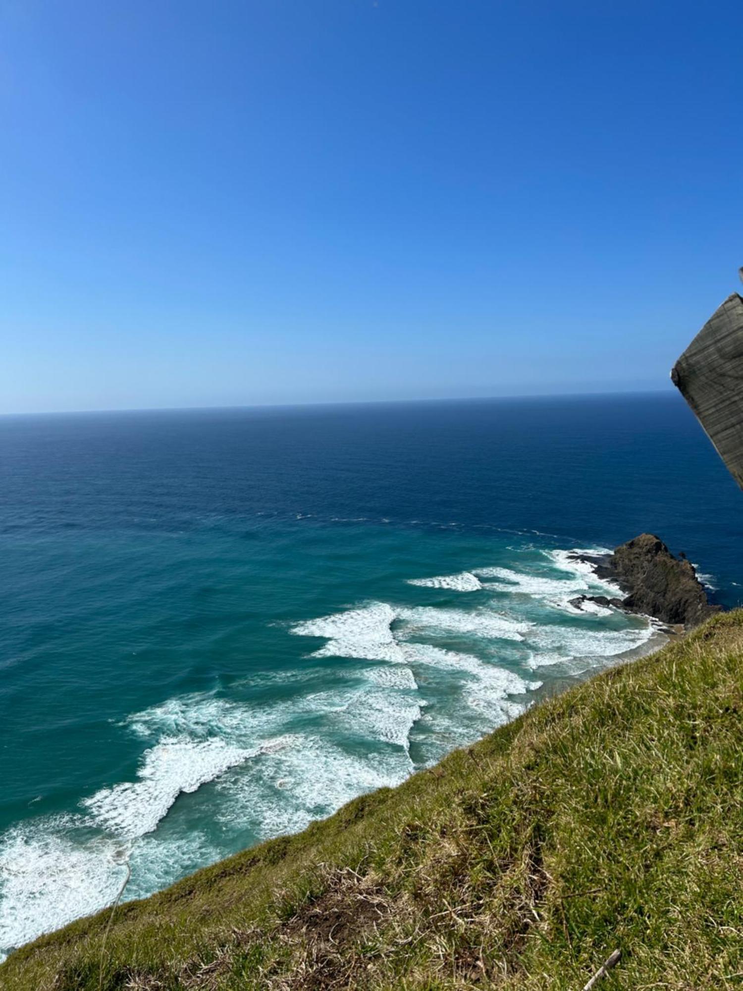 Green Turtle Cottage Pukenui Екстериор снимка