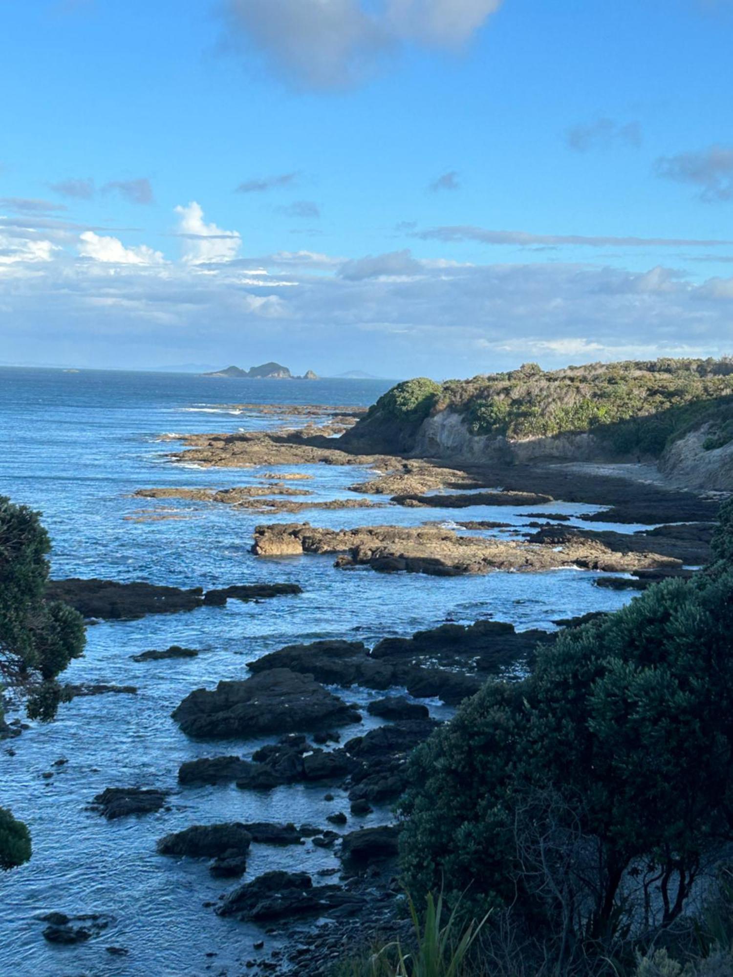 Green Turtle Cottage Pukenui Екстериор снимка