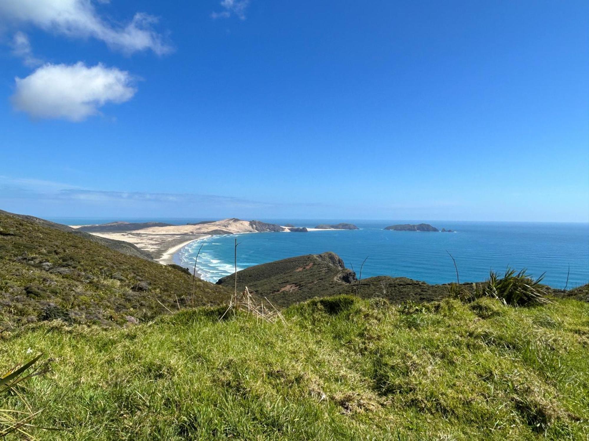 Green Turtle Cottage Pukenui Екстериор снимка